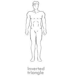 Inverted Triangle: Broad shoulders and chest with a narrower waist and hips.