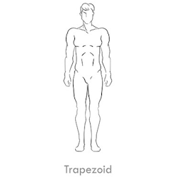 Trapezoid: This idealized form has broad shoulders with a slightly narrower waist and hips.
